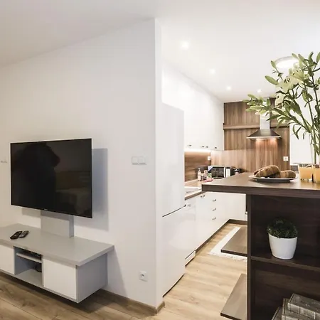 Apartment Flexihome Sk - Narodna Trieda Kosice