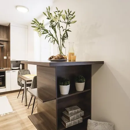 Apartment Flexihome Sk - Narodna Trieda Kosice